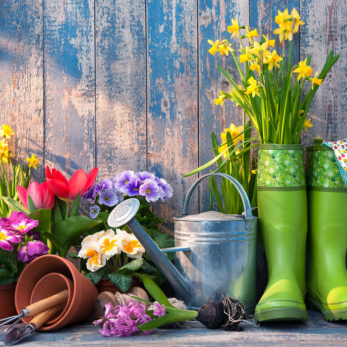 Get your Yard Spring Ready with These Seven Simple Steps