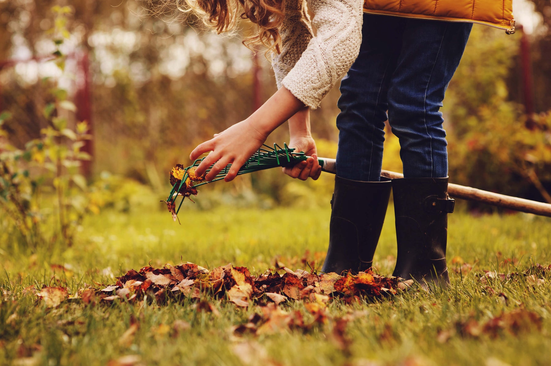 Is your Garden Ready for Fall?