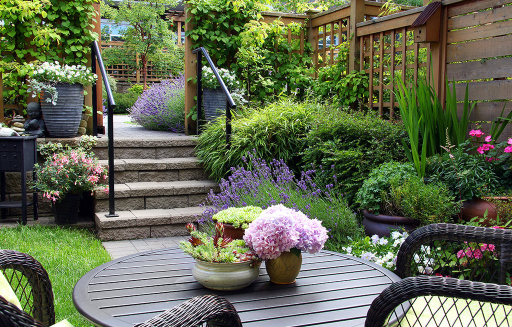Save Time and Money with a Drought Tolerant Garden