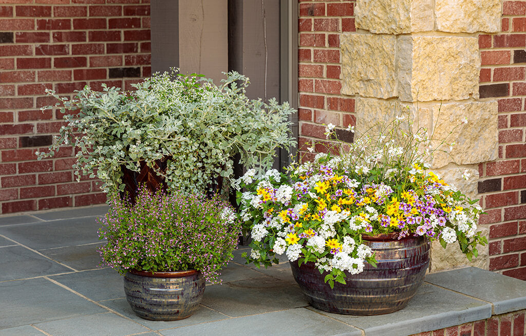 Five Spring Tips to Dress up your Doorway
