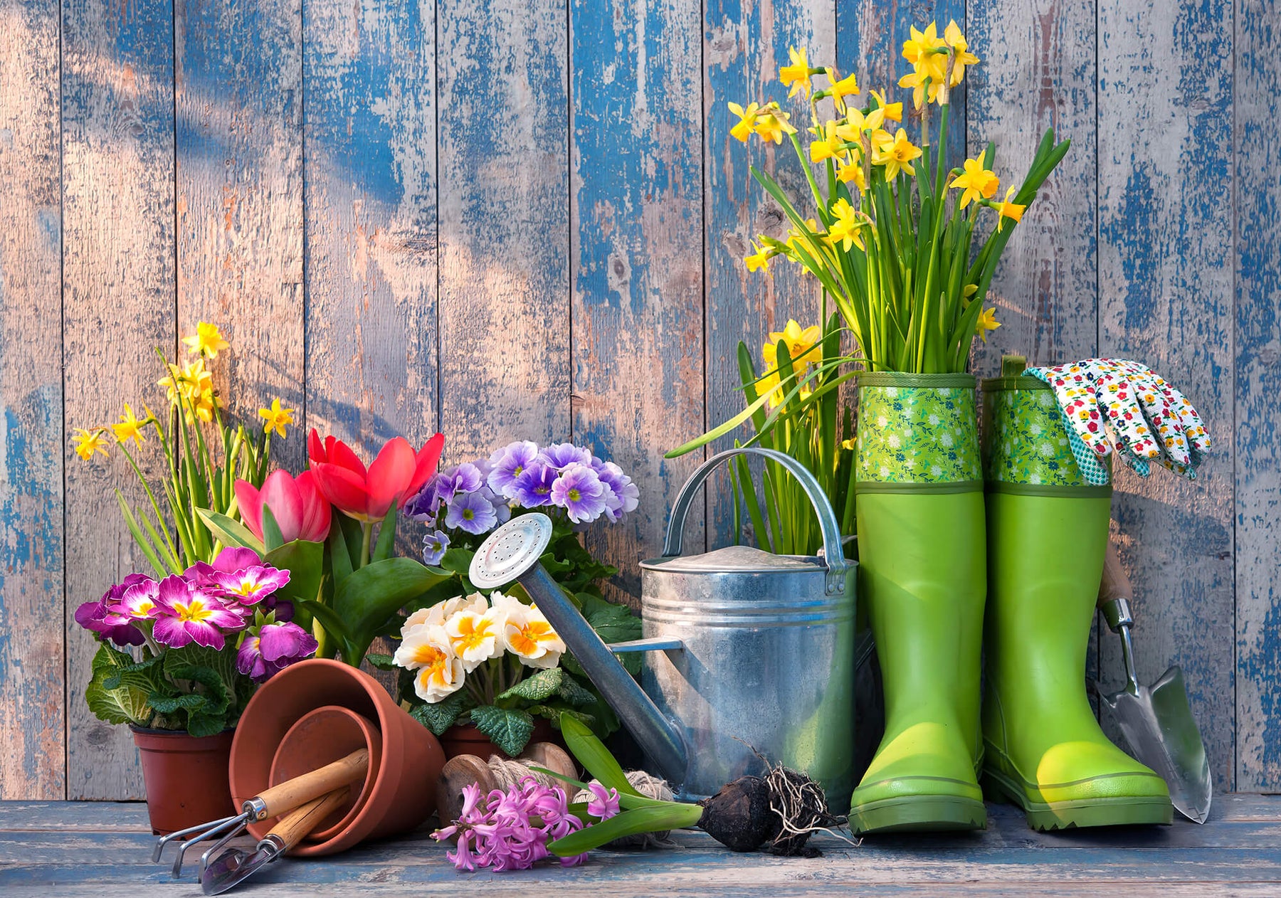 Get your Yard Spring Ready with These Seven Simple Steps