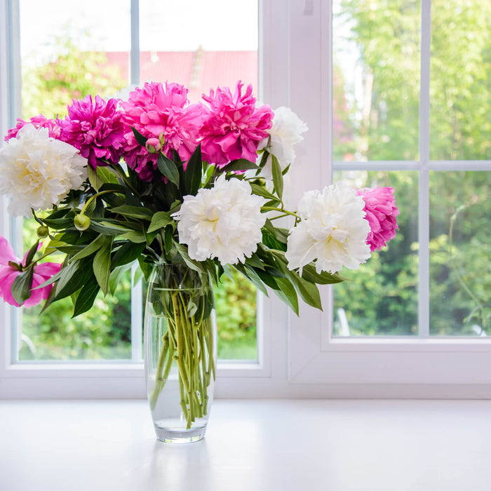 How to make fresh flowers look their best