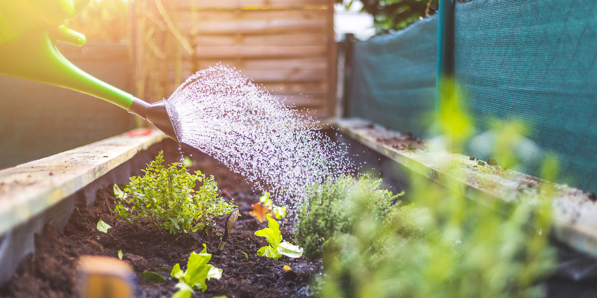FEED YOUR PLANTS — Stevensville Garden Gallery FEED YOUR PLANTS — Stevensville Garden Gallery
