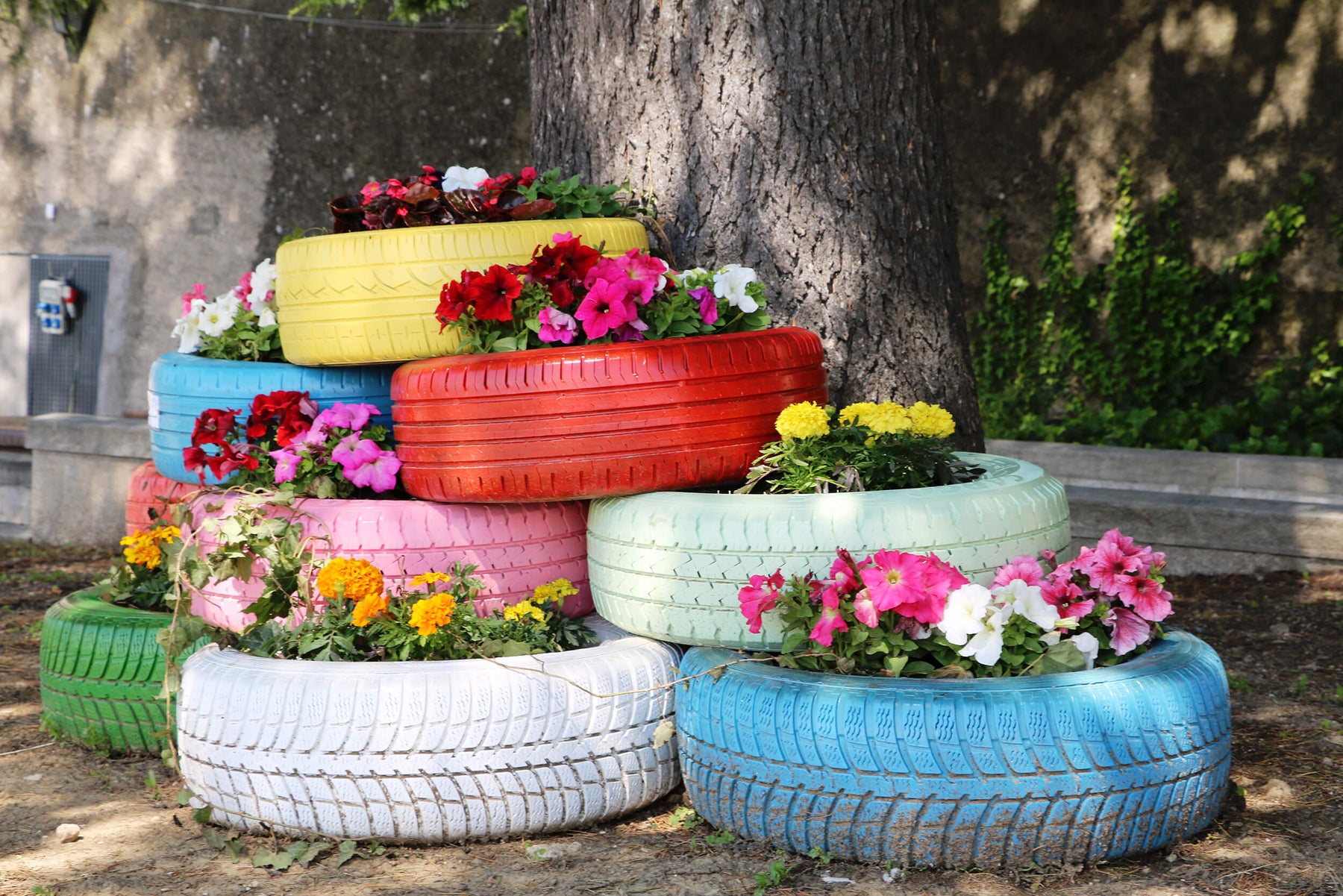Container Gardening Simplified